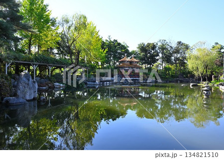 秋の天寿園で見られる中国庭園の風景(新潟県新潟市) 秋の天寿園で見られる中国庭園の風景(新潟県新潟市) 134821510