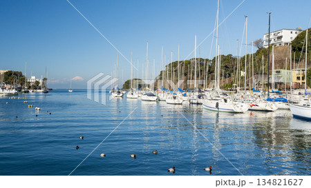 青空に映えるヨットハーバー 134821627