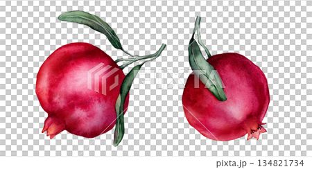 Set of Pomegranate Fruit Branches. Hand drawn watercolor illustration of red tropical Food on white isolated background. Drawing of pink red pomegranate tree with leaves. Sketch of juicy for menu. Set of Pomegranate Fruit Branches. Hand drawn watercolor illustration of red tropical Food on white isolated background. Drawing of pink red pomegranate tree with leaves. Sketch of juicy for menu. 134821734