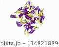 Thai blue tea Chang Shu. Anchan tea seeds. Blue tea. 134821889