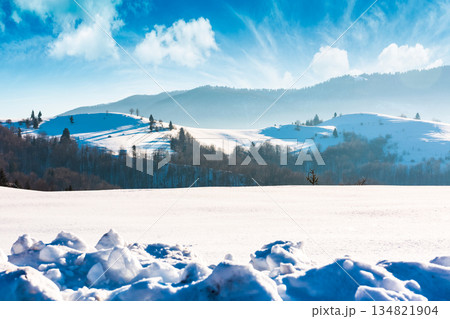 beautiful winter landscape with snow covered rolling hills under blue sky. majestic carpathian mountains on sunny day. frosty countryside scenery with snowy alpine meadow. remote region of ukraine 134821904