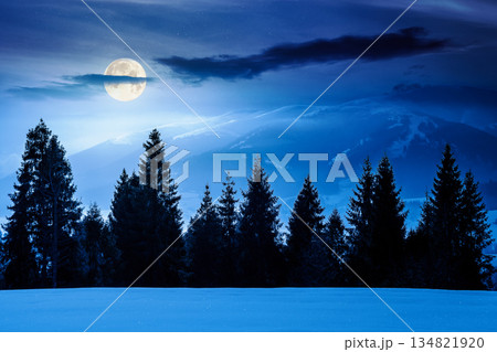 winter landscape at night. fir trees on snow covered hill in full moon light. mysterious place in mountains. winter wonderland background for photo travel. backdrop for fiction art or mystery concepts winter landscape at night. fir trees on snow covered hill in full moon light. mysterious place in mountains. winter wonderland background for photo travel. backdrop for fiction art or mystery concepts 134821920