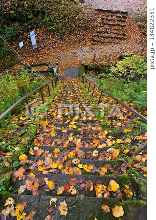 長岡市栃尾の杜々の森に広がる紅葉景色（新潟県長岡市栃尾） 134822351