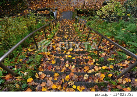 長岡市栃尾の杜々の森に広がる紅葉景色（新潟県長岡市栃尾） 134822353