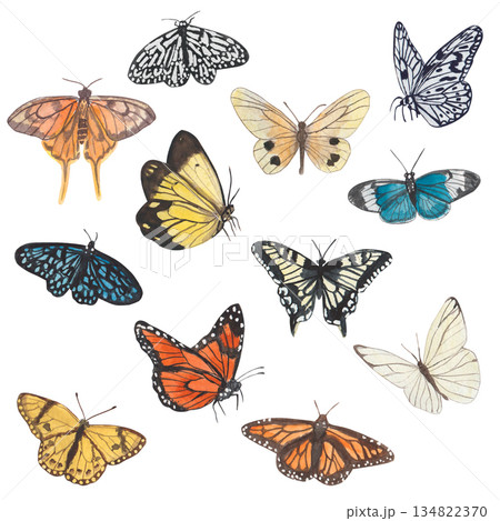 Multicolored watercolor butterflies isolated on a white background. Spring illustration of butterflies in yellow, blue, orange, and other colors. Suitable for covers, backgrounds, advertisements, etc 134822370
