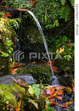 長岡市栃尾の杜々の森に広がる紅葉景色（新潟県長岡市栃尾） 134822392