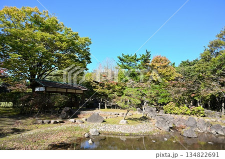濁川公園に広がる秋の紅葉風景(新潟県新潟市) 濁川公園に広がる秋の紅葉風景(新潟県新潟市) 134822691