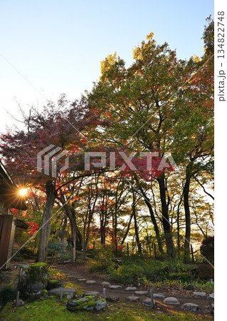 越路もみじ園に広がる紅葉の風景（新潟県長岡市） 134822748
