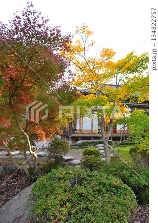 越路もみじ園に広がる紅葉の風景（新潟県長岡市） 134822757
