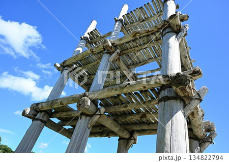 三内丸山遺跡の復元住居とやぐら（青森県青森市） 134822794