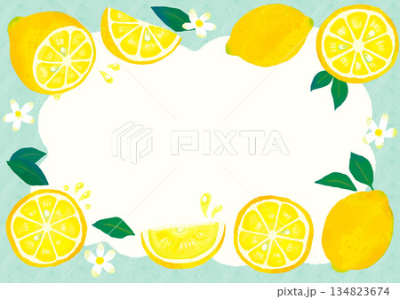 手描きのかわいいレモンのフレーム/緑・白 134823674