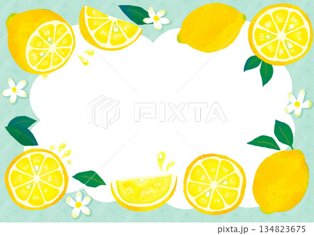 手描きのかわいいレモンのフレーム/緑・透明 134823675