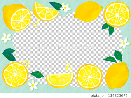 手描きのかわいいレモンのフレーム/緑・透明 134823675
