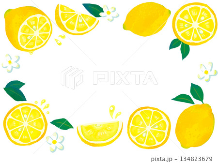 手描きのかわいいレモンのフレーム/透明 134823679