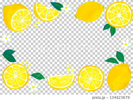 手描きのかわいいレモンのフレーム/透明 134823679