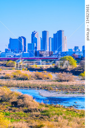 日本の東京都市景観12月28日。冬景色の多摩川や水鳥、武蔵小杉駅前のタワーマンション群。新たな時代へ 134823681
