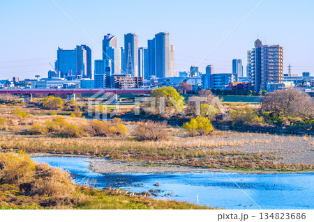 日本の東京都市景観12月28日。冬景色の多摩川や水鳥、武蔵小杉駅前のタワーマンション群。新たな時代へ 134823686