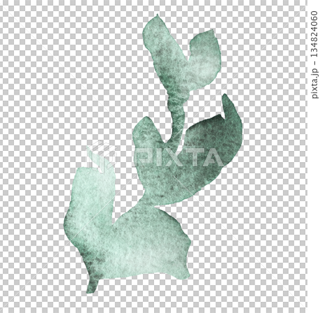 Watercolor twig with light green leaves isolated illustration, pastel wedding stationery element 134824060