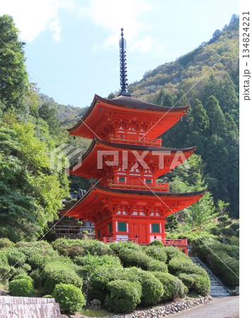 真木山長福寺、岡山県下最古の木造建築 国指定重要文化財、森の緑に鮮やかな朱の三重塔が美しい日本の風景 134824221