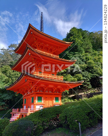 真木山長福寺、岡山県下最古の木造建築 国指定重要文化財、森の緑に鮮やかな朱の三重塔が美しい日本の風景 134824229