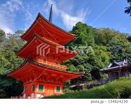 真木山長福寺、岡山県下最古の木造建築 国指定重要文化財、森の緑に鮮やかな朱の三重塔が美しい日本の風景 真木山長福寺、岡山県下最古の木造建築 国指定重要文化財、森の緑に鮮やかな朱の三重塔が美しい日本の風景 134824230