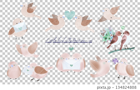茶色の鳥セットイラスト 茶色の鳥セットイラスト 134824808