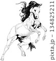 跳ねる馬の線画 134825211