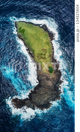 Rocky island in ocean with waves, top view, aerial view Rocky island in ocean with waves, top view, aerial view 134825604