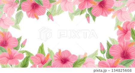 Hibiscus floral horizontal frame with pink tropical flowers, green leaves and buds isolated on white. Watercolor botanical border. Hibiscus floral horizontal frame with pink tropical flowers, green leaves and buds isolated on white. Watercolor botanical border. 134825608