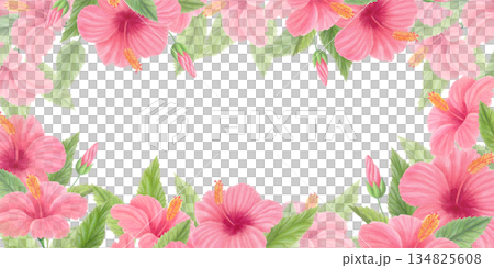 Hibiscus floral horizontal frame with pink tropical flowers, green leaves and buds isolated on white. Watercolor botanical border. Hibiscus floral horizontal frame with pink tropical flowers, green leaves and buds isolated on white. Watercolor botanical border. 134825608