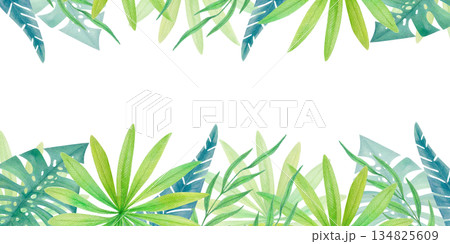 Watercolor tropical horizontal frame with green jungle leaves isolated on white. Botanical border with exotic rainforest foliage.  134825609
