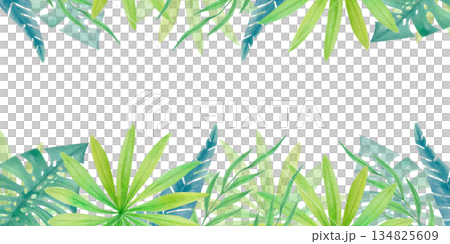 Watercolor tropical horizontal frame with green jungle leaves isolated on white. Botanical border with exotic rainforest foliage.  134825609