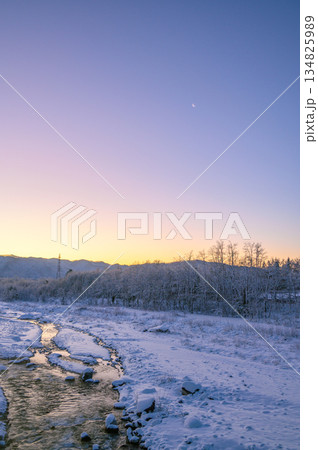夜明けの松川【白馬大橋より撮影】 134825989