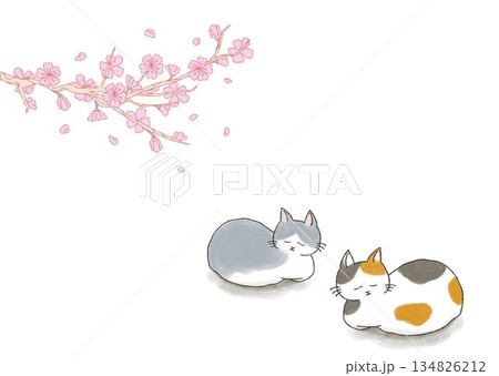 桜の木の下で眠る猫 桜の木の下で眠る猫 134826212