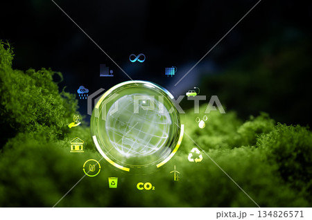 Renewable energy concept Earth Day or environment protection Hands protect forests that grow on the ground and help save the world. Renewable energy concept Earth Day or environment protection Hands protect forests that grow on the ground and help save the world. 134826571