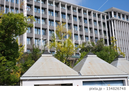 呉市役所建物の景色 134826748