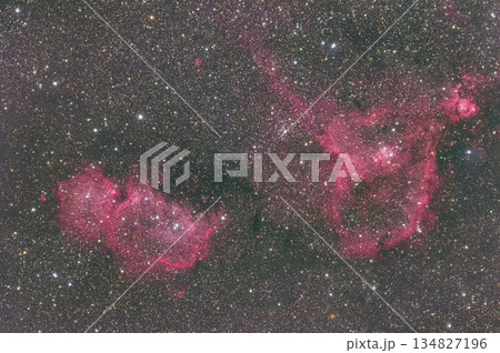ハート&ソウル星雲 2022 ハート&ソウル星雲 2022 134827196