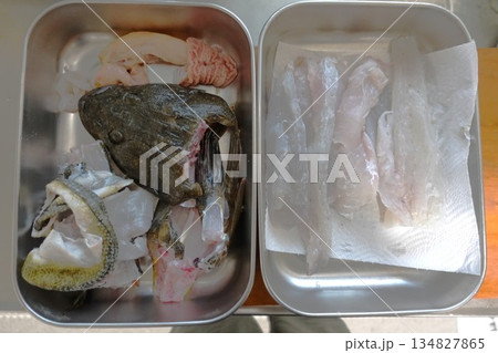 魚釣り マゴチ57cm 魚釣り マゴチ57cm 134827865