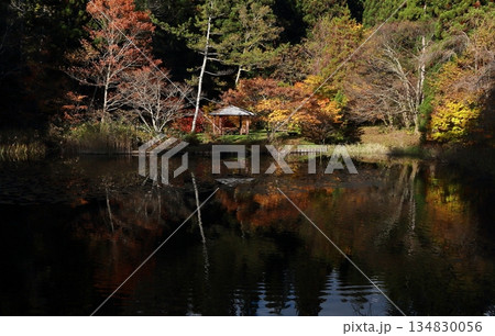 水面に映る紅葉とあずまや 水面に映る紅葉とあずまや 134830056
