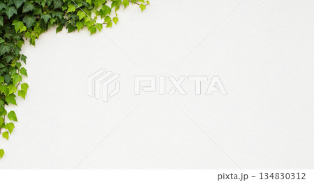 木の葉 葉 草の葉 134830312
