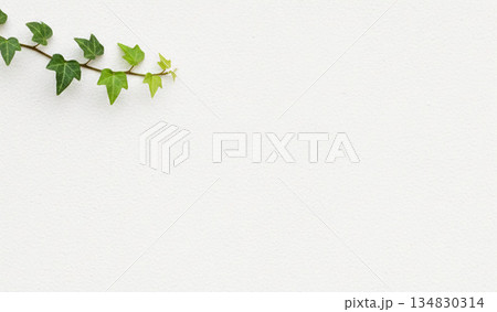 木の葉 葉 草の葉 134830314