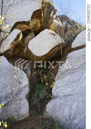 Thin trees cut through the fractures of blocks of marble in an abandoned marble quarry in Siberia Thin trees cut through the fractures of blocks of marble in an abandoned marble quarry in Siberia 134830722