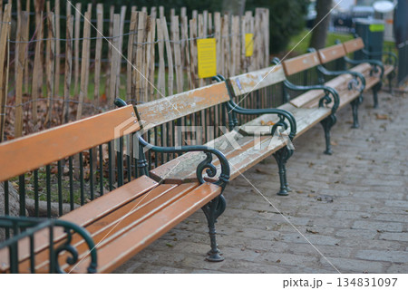 Row of Park Benches Along Cobblestone Path Row of Park Benches Along Cobblestone Path 134831097