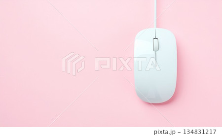 真上から見たパソコンのマウスの画像 134831217