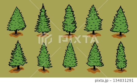 Pine Tree Illustration Hand Drawn Doodle Colorful Nature Landscape Elements Collection Pine Tree Illustration Hand Drawn Doodle Colorful Nature Landscape Elements Collection 134831291