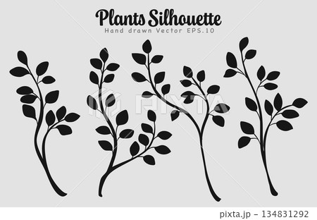 Silhouette Botanical Plants Collection Tree Branch Elements.Vector Illustration Silhouette Botanical Plants Collection Tree Branch Elements.Vector Illustration 134831292