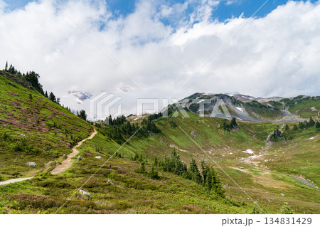 Mountain landscape with meadow. Mountainous landscape with cloudy sky. Scenic green hill mountain. Travel destination. Breathtaking summer day in wild mountain with coniferous forest and green slopes Mountain landscape with meadow. Mountainous landscape with cloudy sky. Scenic green hill mountain. Travel destination. Breathtaking summer day in wild mountain with coniferous forest and green slopes 134831429