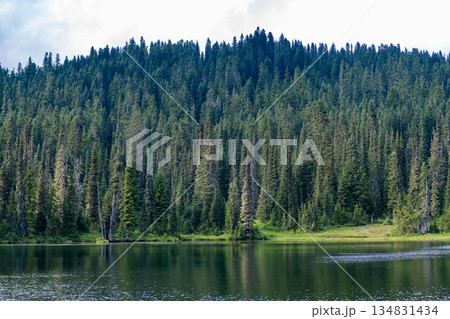 Lake in scenic nature. Scenic nature of hiking lake. Evergreen forest. Wilderness and adventure at forest. Lake with green landscape. Landscape of coniferous forest at lake. Nature landscape Lake in scenic nature. Scenic nature of hiking lake. Evergreen forest. Wilderness and adventure at forest. Lake with green landscape. Landscape of coniferous forest at lake. Nature landscape 134831434