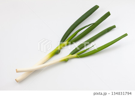 ネギ 生野菜 白背景 ネギ 生野菜 白背景 134831794