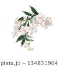 Wedding invitation wreath with pink orchid flowers leaves. 134831964